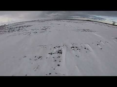 Видео: #Охота на зайца| Трудное тропление| Шанс был