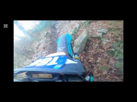 Видео: 13.12.24г.