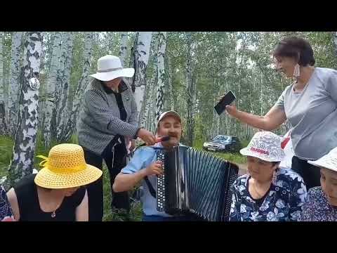 Видео: #гармун#юлы#әбйәлил