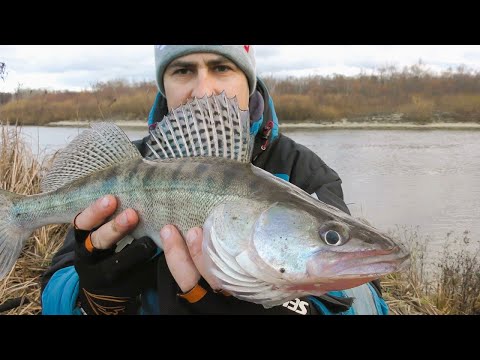 Видео: Джиг на Десні. Коли Вихід у Судака?
