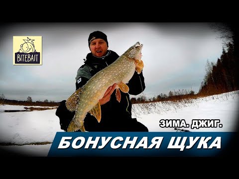 Видео: БОЛЬШАЯ ЩУКА маленькой реки. Зимний спиннинг. Ловля щуки на джиг зимой