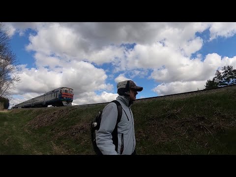 Видео: Поход Барановичи, Русино, Федюки, Петуховщина, Ляховичи, железная дорога, природа #корочевобщем
