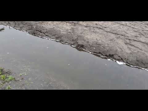 Видео: Открываю виноградник  Отвечаю на вопросы