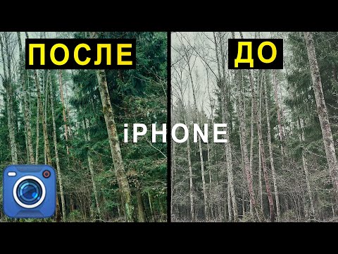 Видео: Лучшие настройки КАМЕРЫ iPhone С приложение BLACK MAGIC CAMERA