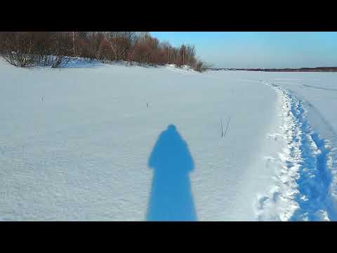 Видео: Шокирующий случай из армейской жизни