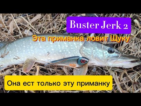Видео: Strike Pro Buster Jerk II Эта приманка ловит Щуку. Она ест только эту приманку. Рыбалка Москва-река.