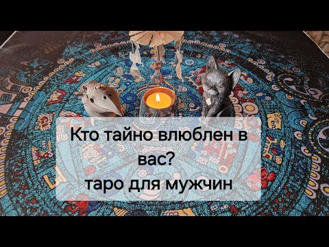 Видео: Кто тайно любит вас? Кому вы нравитесь? 😍 Таро для мужчин