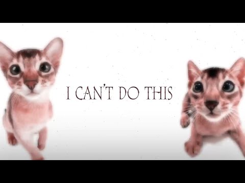 Видео: плейлист чтобы чувствовать себя в эдите