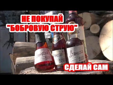Видео: НЕ ПОКУПАЙ БОБРОВУЮ СТРУЮ !  НА РЫБАЛКУ ЗА БОБРОМ....