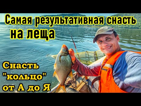 Видео: ЛОВЛЯ ЛЕЩА НА "КОЛЬЦО" НА ВОЛГЕ/ КАК ЛОВИТЬ НА КОЛЬЦО? / ПОЛНЫЙ ОБЗОР СНАСТИ И ОСОБЕННОСТИ ЛОВЛИ
