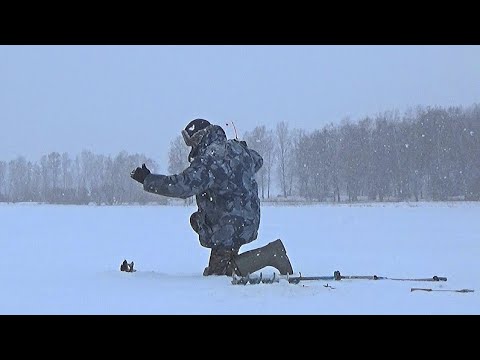 Видео: КАК НЕ ПОПАСТЬСЯ НА УДОЧКУ: СЕКРЕТЫ КАРАСЯ. ВЕСЕННЯЯ рыбалка на КАРАСЯ.