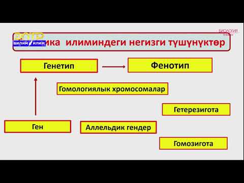 Видео: 9-класс | Биология | Организмде белгилердин тукум куучулугу