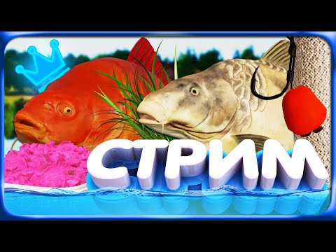 Видео: РР4 СТРИМ • РАЗДАЧА ТРОФЕЕВ на ЯНТАРНОМ ОЗЕРЕ и ОХОТА за РЕДКИМИ КАРПАМИ!