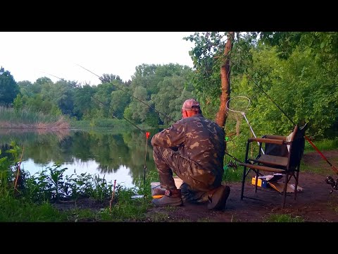 Видео: ПОСТАВИВ КОРМАЧКИ І ВІДРАЗУ ПОПЕРЛО. Рибалка з ночівлею на кормачки