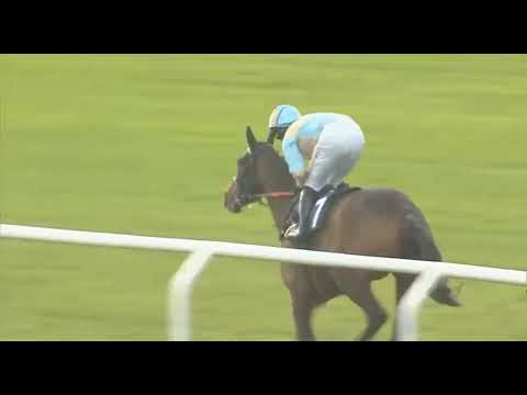 Видео: 1358 Фосс Лас Великобритания