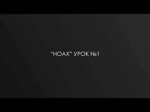 Видео: “НОАХ” урок №1 р. Дов Бер Байтман