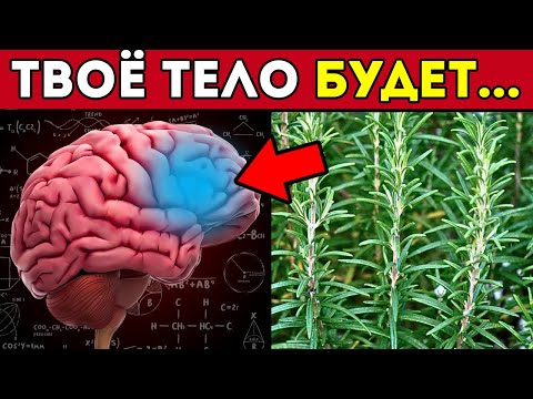 Видео: Пей Розмариновый Чай На Ночь И Узнай Об Этих 10 НЕОБРАТИМЫХ ПОЛЬЗАХ Для Твоего Тела