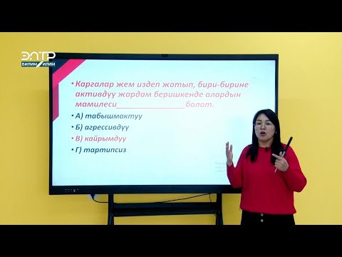 Видео: ЖРТга АКЫСЫЗ ДАЯРДАН/ КЫРГЫЗ-ТИЛИНДЕ СҮЙЛӨМДҮ ТОЛУКТОО