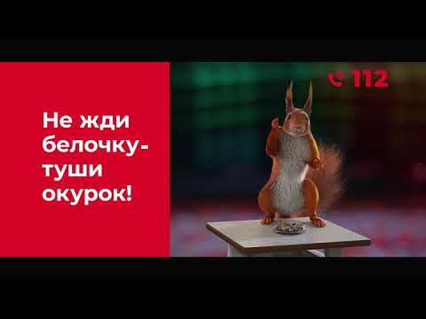 Видео: Не жди белочку - туши окурок! Квартира