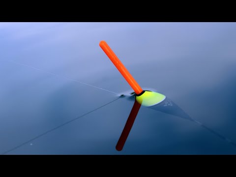 Видео: FLOAT FISHING - РИБОЛОВ на КАРАКУДА - ЛОВЛЯ КАРАСЯ