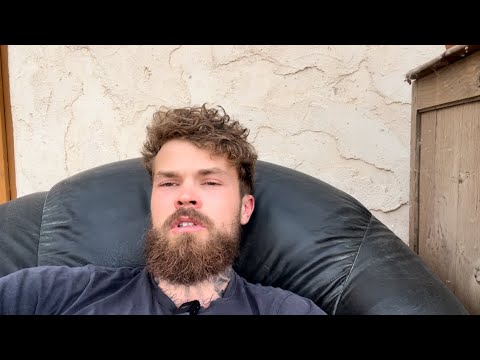 Видео: Альфа самец и сигма. В чем отличие?