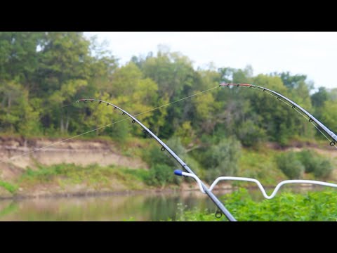 Видео: ЛЕЩ И КАРАСЬ НА ФИДЕР! БЕШЕНЫЕ Поклёвки КРУПНЫМ планом!Рыбалка на фидер в сентябре 2022!