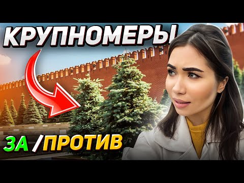 Видео: ЭФФЕКТНЫЕ крупномеры🌲О чем МОЛЧАТ ПИТОМНИКИ и как сажали в СССР