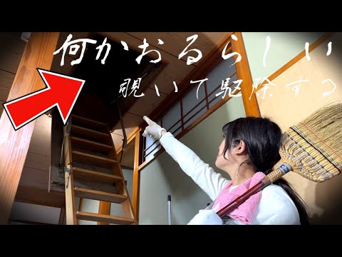 Видео: [Повседневная жизнь в кемпинге] Заглянуть на чердак в одиночестве, потому что он издает ужасный звук