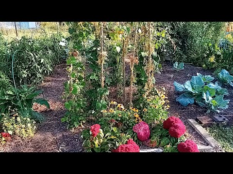 Видео: Еко градина без копане в края на септември