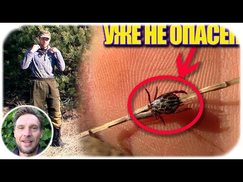 Видео: Клещи больше не страшны в 2022 - простая защита от лесных клещей \ 2 вида клещей.