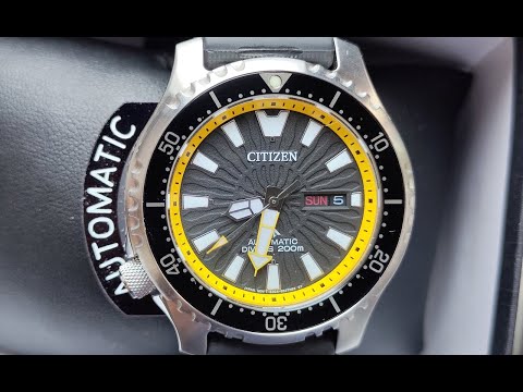 Видео: Распаковка Citizen Promaster Fugu NY0130-08E и финал старой истории с таможней