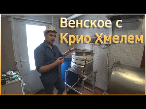 Видео: Венское пиво с Крио Хмелем (сухое охмеление).