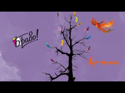 Видео: Браво - Жар птица (кавер - Виталий Подземный)