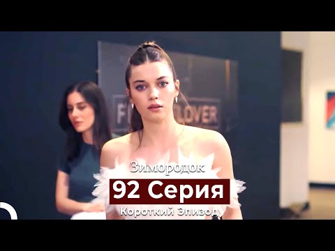 Видео: Зимородок 92 Cерия (Короткий Эпизод) (Русский дубляж)