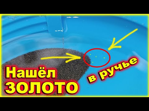 Видео: Природная ловушка. ЗОЛОТО ЕСТЬ !!!