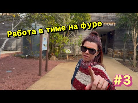 Видео: Контракты на Амазон в тиме