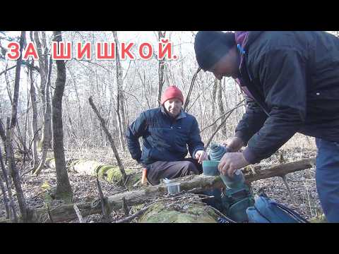 Видео: Сбор кедрового ореха в уссурийской тайге. Тайга Приморского края. Сбор шишек. Жизнь в приморье.