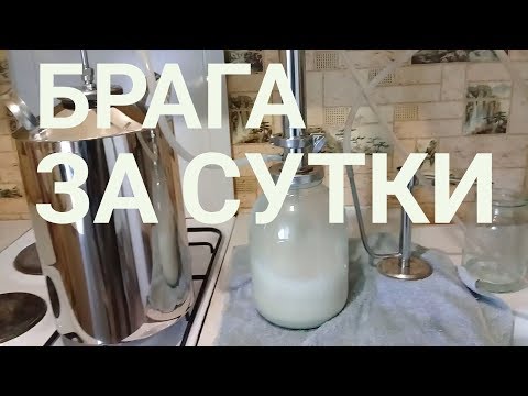 Видео: Как сделать брагу за сутки