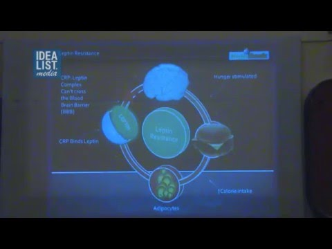 Видео: Трансляция. Виктор Досенко лекция об ожирении