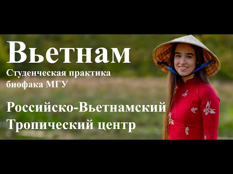 Видео: Тропическая практика биофака МГУ во Вьетнаме 2024 год