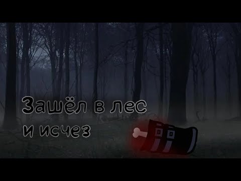 Видео: гача Страшилка•|Зашëл в лес и исчез•|/WorldBefemotKot/