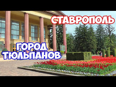 Видео: Ставрополь - самый красивый и зеленый город. Прогулка по центру Ставрополя весной