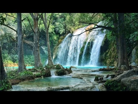 Видео: ЖИВАЯ  И МЁРТВАЯ ВОДА....