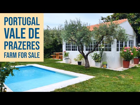 Видео: ФЕРМА НА ПРОДАЖУ - Вале-де-Празерес, Каштелу-Бранку, Португалия, ТУР ПО ВИРТУАЛЬНОЙ НЕДВИЖИМОСТИ ❤