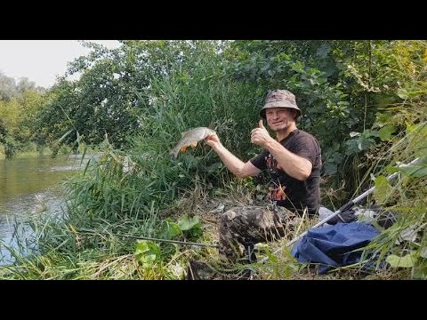 Видео: Рыбалка Круче не Куда. Плотва Сошла с Ума. Рыбалка на поплавок на реке!