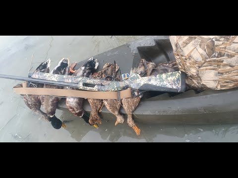 Видео: РАЗГОВОР ПРО ЛОДОЧНЫЕ МОТОРЫ (РАЗНЫЕ) МОЙ ОПЫТ 25 ЛЕТ🔴ОХОТРАДИО