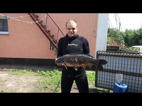 Видео: Как выбрать костюм для подводной охоты и все о гидрокостюмах для подводной охоты