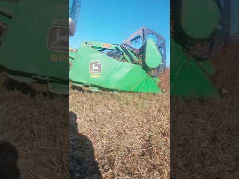 Видео: Жнива сої Claas mega 204+флекс jonn geere 920