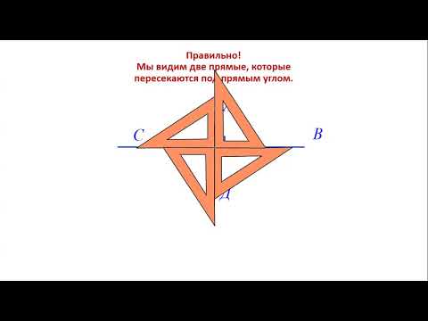 Видео: урок№98 Перпендикулярные прямые и отрезки  6 класс