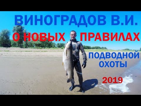 Видео: Разговор о новых правилах рыболовства. Виноградов В.И. Москва 2019г.
